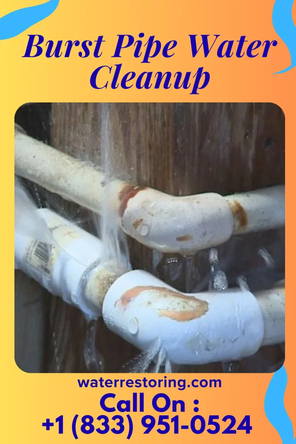 Burst Pipe Water Cleanup in Franklin, PA