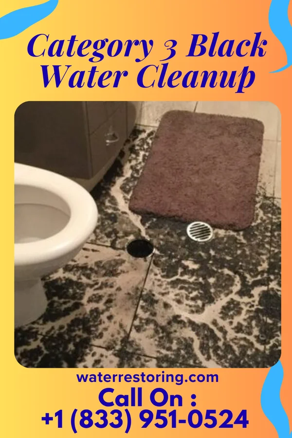 Category 3 Black Water Cleanup in Franklin, PA