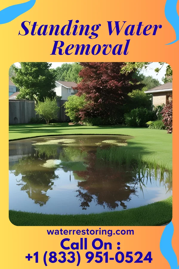 Standing Water Removal in Franklin, PA